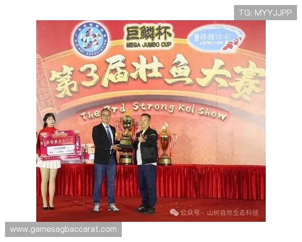 博鱼ag最新赛事资讯全方位报道助你把握每一次赢的机会