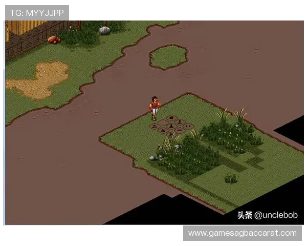 最新bob真人登录线路攻略，保障玩家在线体验无忧无扰