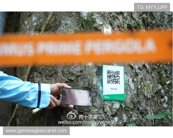 云顶赌场游戏常见问题解答,解决玩家在游戏中遇到的各种疑问 云顶赌场游戏常见问题解答,解决玩家在游戏中遇到的各种疑问