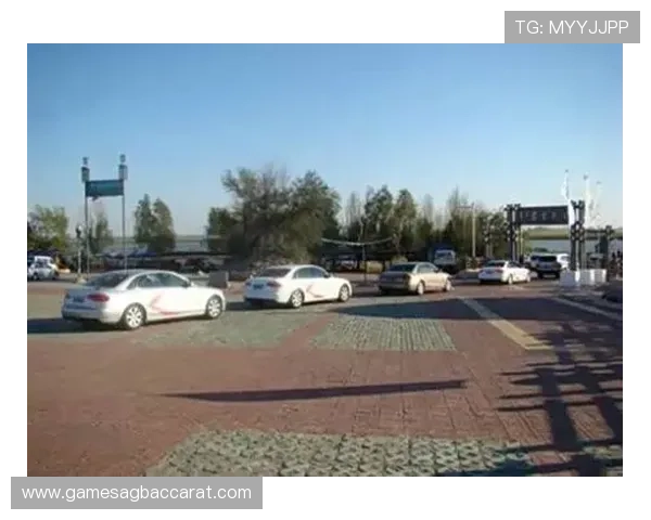 天博真人平台的最新新闻动态，行业资讯与平台更新一手掌握